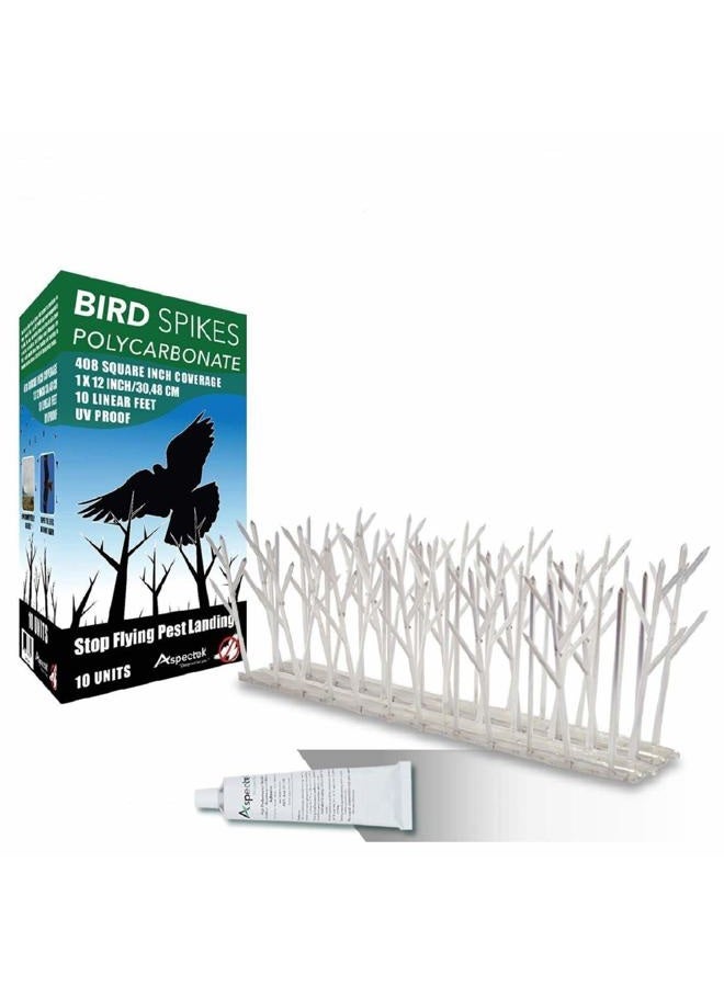 Aspectek Stainless Steel Pre-Assembled Bird Spikes 10 Feet (3 Meters), Bird Deterrent Kit with Transparent Silicone Glue - Image 1